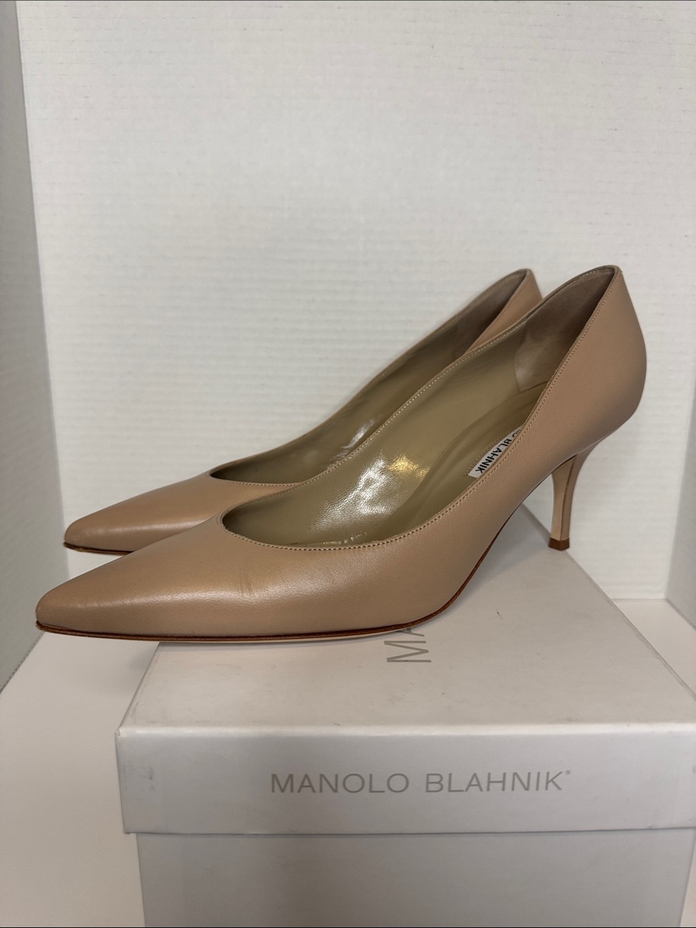 Manolo Blahnik Beige Leather Pointed-Toe Pumps, Size 42